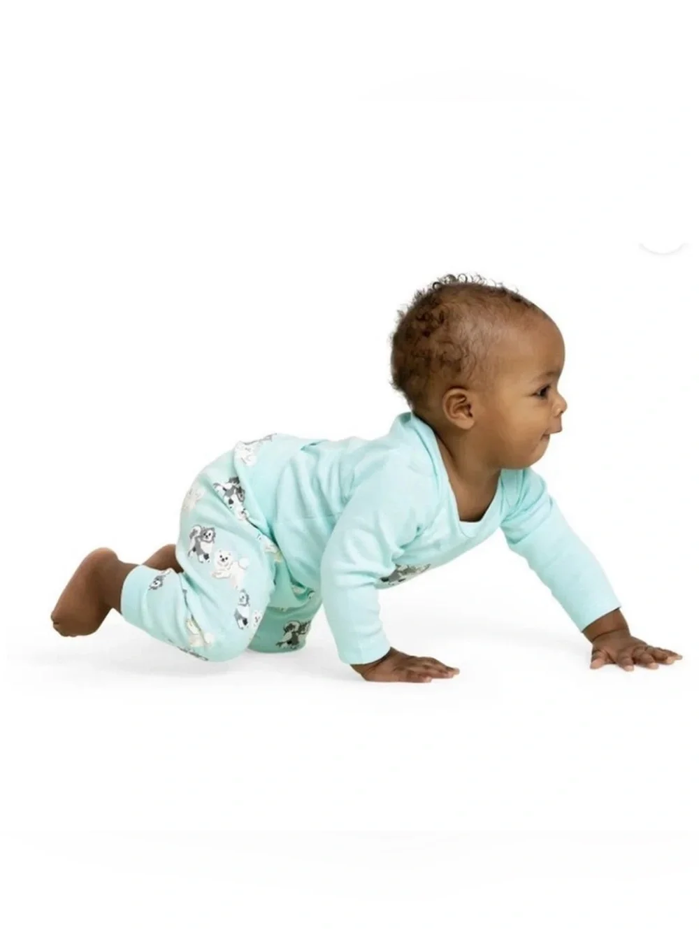 Monica + Andy x Paris Hilton Turquoise Baby Bodysuit Pant Set Puppy Print 12-18M